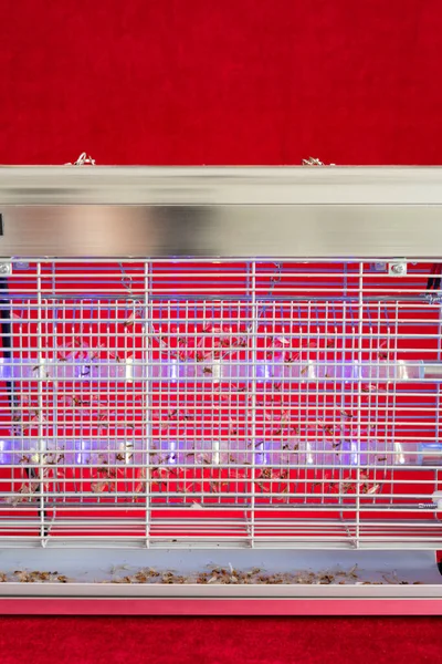 Elektrische Indoor Mug Insectendoder Met Veel Dode Vliegende Mieren Verticale — Stockfoto