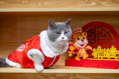Geleneksel Çin yeni yıl elbisesi ve kaplan maskotu olan sevimli bir kedi. Çin 'in yanında yeni yılın kutlu olsun demek. Markası yok.
