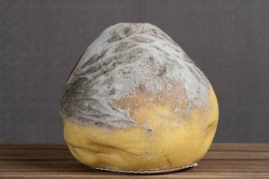 Kötü kokuşmuş ve küflü pomelo