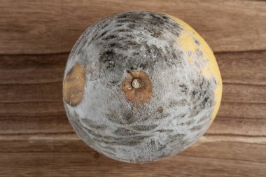 Çürük ve küflü pomelo.