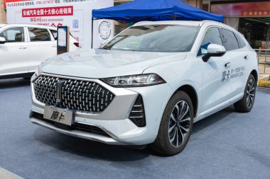 ZHONGSHAN GUANGDONG Çin - 10 Haziran 2022: beyaz bir Wey Mocca araba.