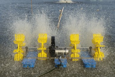 Balık havuzunda çalışan oksijen zenginleştirici bir makine.