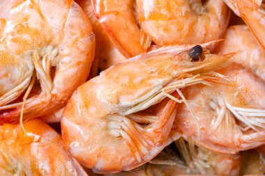 Taze pişmiş karidesler yakın