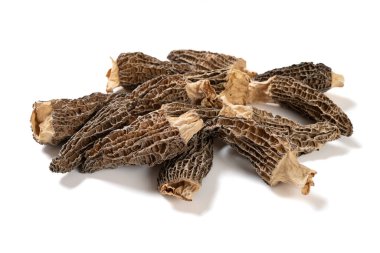 Açı görünümlü morel beyaz arkaplanda