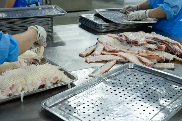 workers in the workshop of a fish processing plant sorting and organizing fish bones
