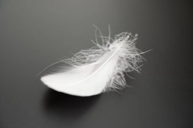 Koyu arkaplanda beyaz tüy