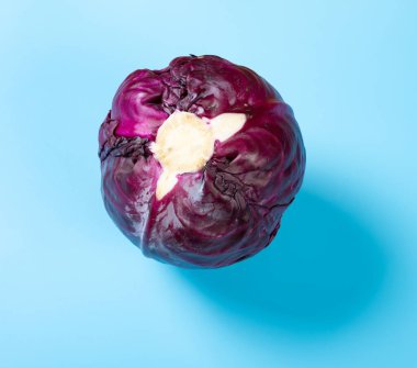 Üst görünüm mor lahana mavi arka planda