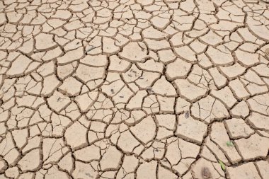 cracked and dried mud as background and texture