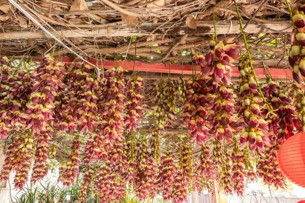 Çiçek açan mukoza kuşları, ilkbaharda yatay kompozisyonda tutarlar.