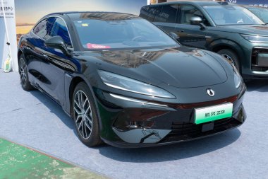 ZHONGSHAN GUANGDONG Çin - 21 Mart 2025: siyah bir TengShi Z9 arabası.