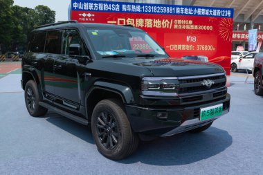 ZHONGSHAN GUANGDONG Çin - 21 Mart 2025: siyah bir BYD Formula Leopar 5 arabası.