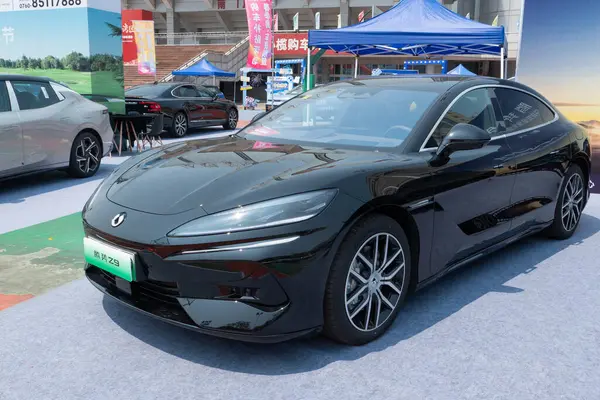 ZHONGSHAN GUANGDONG Çin - 21 Mart 2025: siyah bir TengShi Z9 arabası.