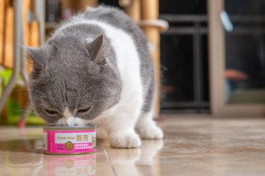 ZhongShan GuangDong Çin - 15 Mart 2025 PaddyTime Tuna ve Shirasu konservesi.