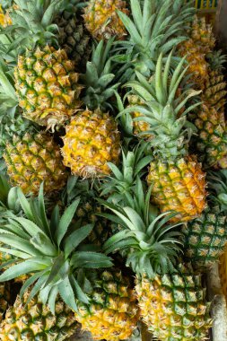 Dikey bileşimde bir grup ananas