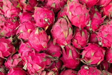 Yatay bileşiminde bir sürü ejderha meyvesi var