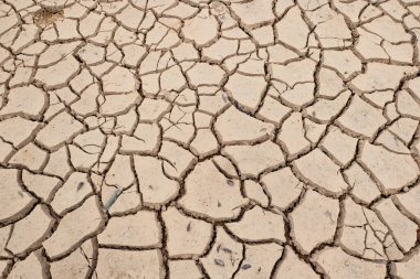 cracked and dried mud as background and texture