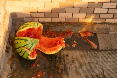 açı görünümü yatay bileşimde yere düşen karpuz parçacıkları