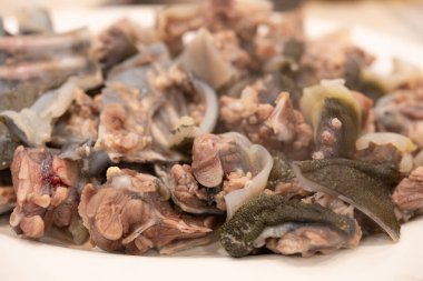 Açılı görünüm yumuşak kabuklu kaplumbağa parçaları