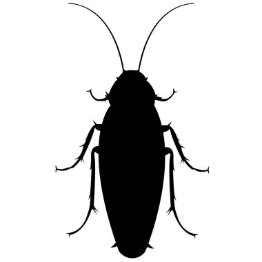 Bir hamamböceğinin yasaklama işareti - Vektör Rengi Siyah