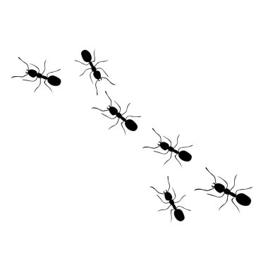 Ant trail, walking group of black insects. Vector illustration of line of worker ants marching in search of food
