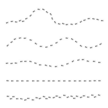 Ants walk in 5 rows