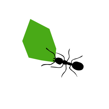 Yaprakları taşıyan karıncalar