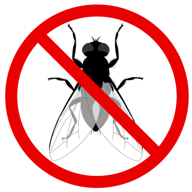 Böcek uçuş vektör simgesi. Siyah vektör simgesi beyaz arkaplan sineğinde izole edildi