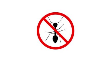 Yasak işaretle karınca haşarı, animasyon