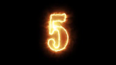 5 numara Renk Portakal Enerjisi