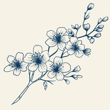 Çiçekli ve yapraklı el çizimi buket. Vector lineer monokrom zarif çiçek düzenleme vintage stil, dövme tasarımı, boyama kitabı, düğün dekorasyonu.