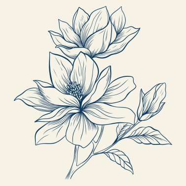 Çizgi sanatı ile çizilmiş manolya çiçekleri