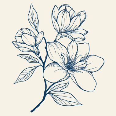 Çizgi sanatı ile çizilmiş manolya çiçekleri