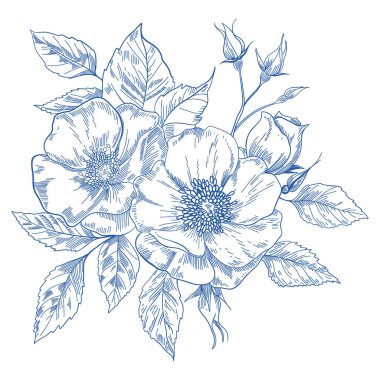 Gül vektör çizimi. Bir gülün siyah ve beyaz çiçek vektör çizimi. El yapımı düğün otları, zarif kır çiçekleri. Baskı, kapak veya duvar kağıdı için en küçük çizgi çizimi