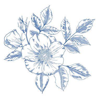 Gül vektör çizimi. Bir gülün siyah ve beyaz çiçek vektör çizimi. El yapımı düğün otları, zarif kır çiçekleri. Baskı, kapak veya duvar kağıdı için en küçük çizgi çizimi