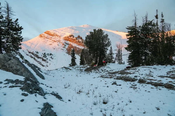 Schöner Sonnenaufgang Den Bergen Wyomings Mit Schnee Rudellamas Die Der — Stockfoto
