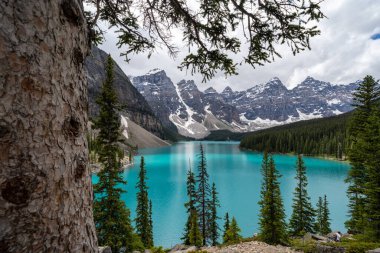 Kanada 'daki Banff Ulusal Parkı' ndaki Moraine Gölü, Rockpile Trail 'den görüldüğü gibi.