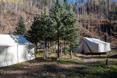 New Mexico 'daki Gila Ulusal Ormanı' nda bir grup avı için çadır.