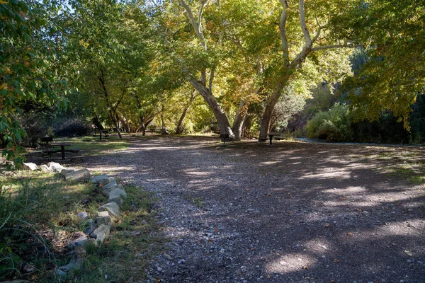 Obszar Piknikowy Whitewater Creek Pobliżu Pomostu Parku Narodowym Gila Nowym — Zdjęcie stockowe