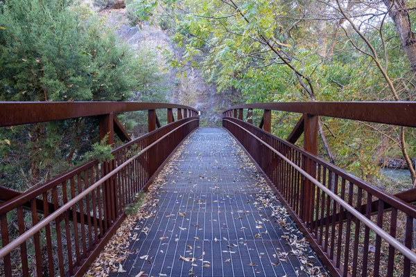 Ponte Pedonal Que Leva Área Recreação Passarela Floresta Nacional Gila — Fotografia de Stock