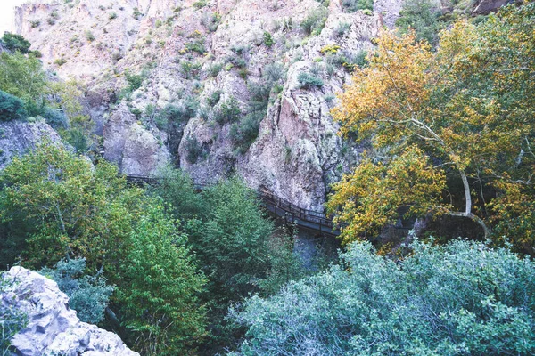 Sieć Mostów Szlaków Terenie Rekreacyjnym Catwalk Glenwood Nowy Meksyk Kanionie — Zdjęcie stockowe
