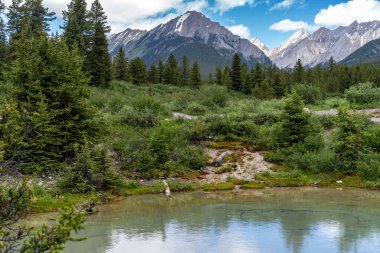 Johnston Canyon 'daki Banff Ulusal Parkı' nın Mürekkep Kapları Bölgesi