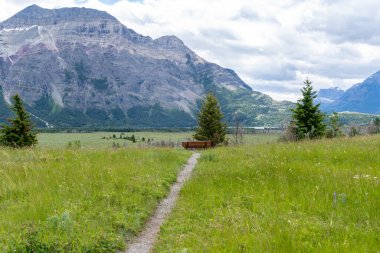 Waterton Gölleri Ulusal Parkı Kanada 'da uzun bir bankın yolu.