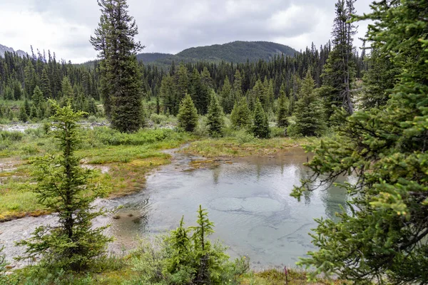 Adegan Pot Tinta Taman Nasional Banff — Stok Foto