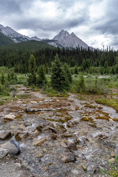 Scenery Ink Pots Trail Banff National Park Canadian Rockies — Stok Foto