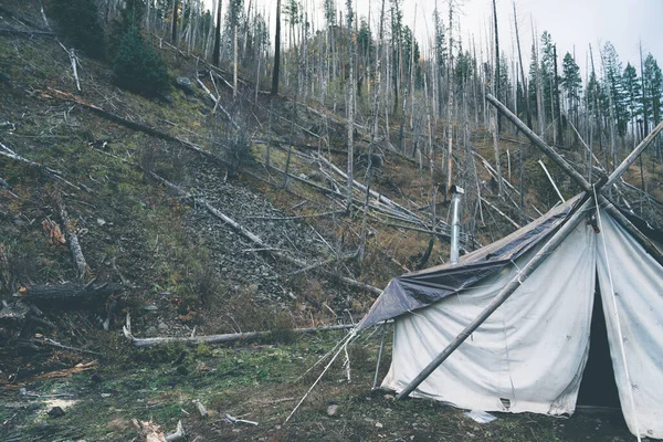荒野のキャンプ場でキャンバステントの避難所のセットアップ ニューメキシコ州ジラ国立の森で撮影 — ストック写真