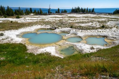 Yellowstone Ulusal Parkı 'nın batı başparmak bölgesinde güzel gayzer kaplıcaları var.