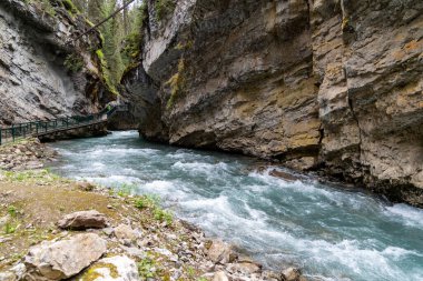 Banff Ulusal Parkı 'ndaki Johnston Kanyonu Alberta Kanada
