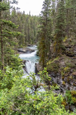 Yaz boyunca Banff Ulusal Parkı 'ndaki Johnston Kanyonu' nda şelale