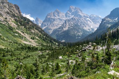 Grand Tetons Dağları 'nın ulusal parktaki güzel vadi manzarası Yalnızlık Gölü patikasından görüldüğü gibi.