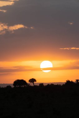 Kenya, Afrika 'daki Masai Mara üzerinde güzel turuncu renkli gün doğumu